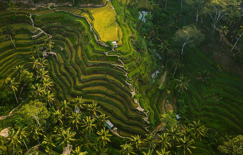 UBUD