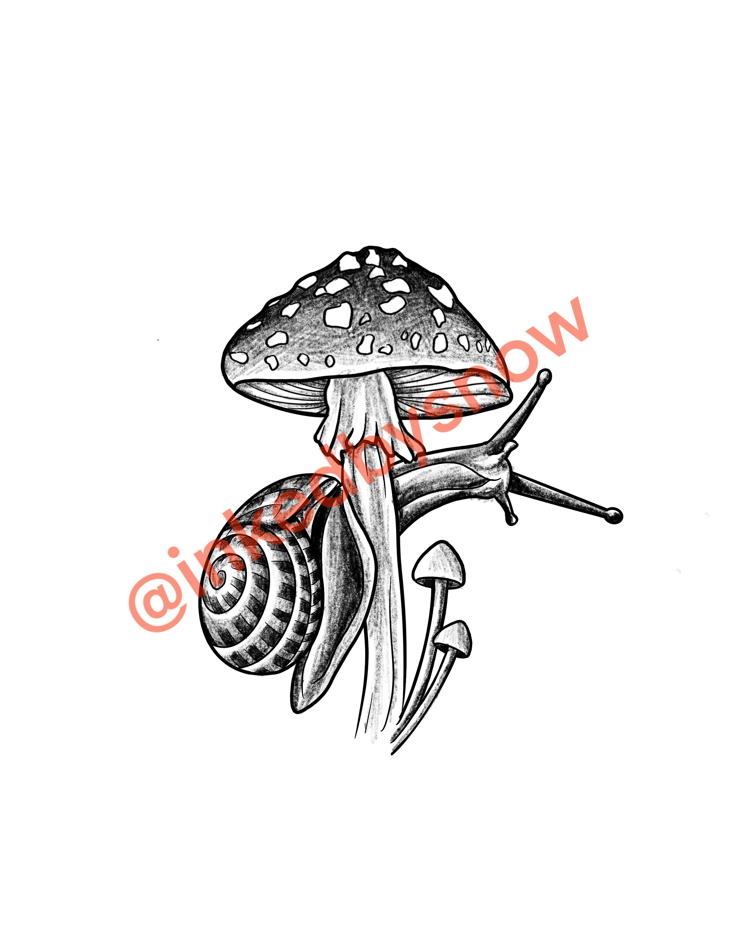 Snail & shroom
