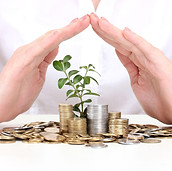 Фото: Компания Эссенс