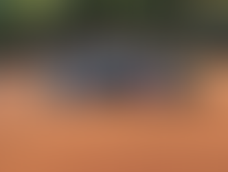 Mais do nosso Festival Kids