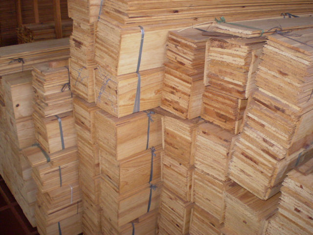 Forro de Pinus