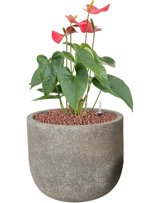 Thumbnail: Natural Cement Collection