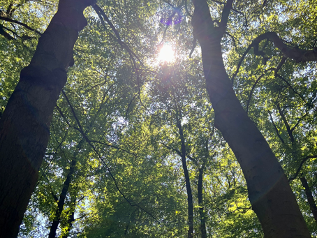 Over liefde geven als de ander het niet kan ontvangen