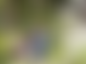 Building Up the Next Generation