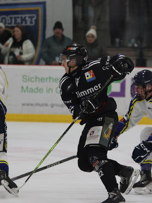 Neuauflage eines Klassikers: Eisbären vs. Löwen