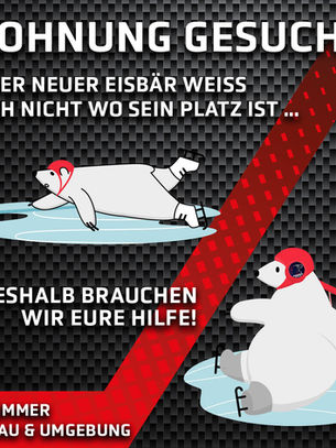 Wohnung für einen Eisbär gesucht