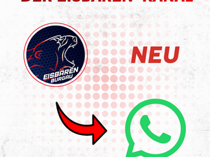 Eisbären jetzt auch auf WhatsApp