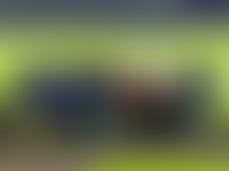 Dirr Reisen wird Reisepartner der Eisbären