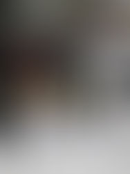 Eisbären gegen Piraten und Löwen