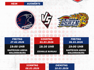 Playdown-Halbfinale gegen die Löwen Waldkraiburg