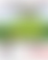 Mit dem Fanbus zum Matchpuck