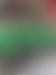 Versteigerung der Weihnachtstrikots