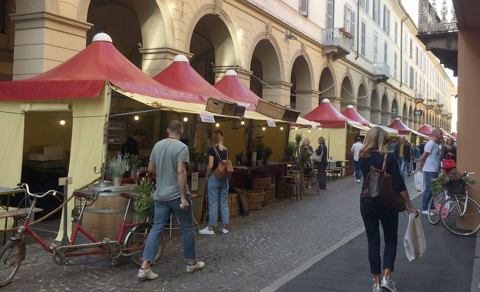 Assaggia Tortona