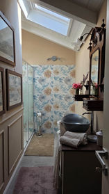 Bed & Breakfast (B&B) - Bagno accogliente con doccia, lavabo e lucernario.