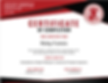 Fire Door Certificate