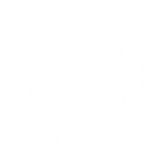 1181 White Transparent.png