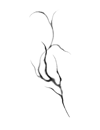 Untitled_Artwork(30)_edited.png