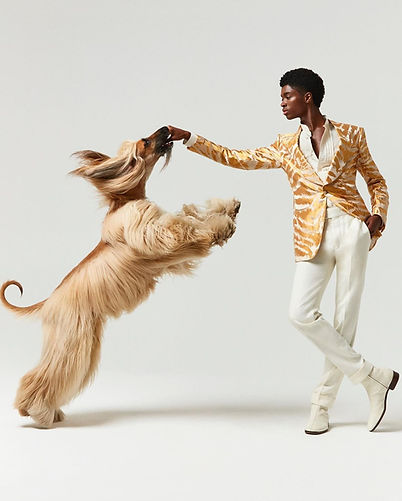 Un elegante levriero afgano modello di AnimalSpotMilano in posa dinamica con il modello Alton Mason, fotografato da Giulio Rustichelli. Perfetto per servizi fotografici di moda e pubblicità.