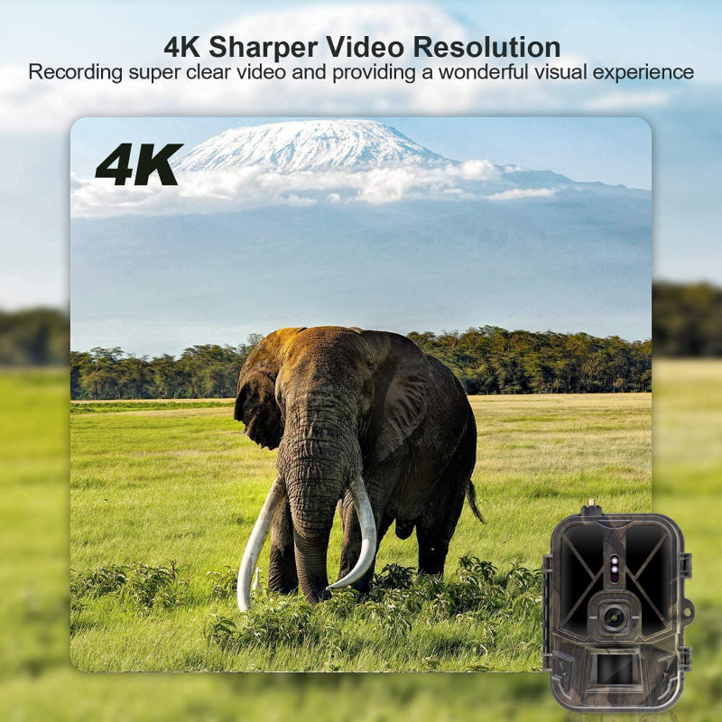 Thumbnail: 4G HD Live Video Lithium Battery Cellular Trail Camera 50MP 4K Wireless Game App