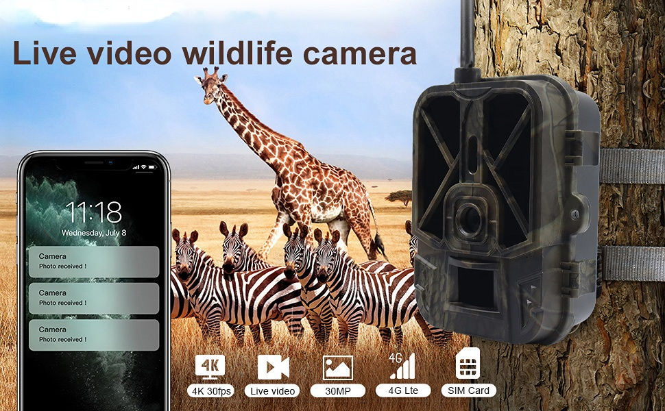 Thumbnail: 4G HD Live Video Lithium Battery Cellular Trail Camera 50MP 4K Wireless Game App