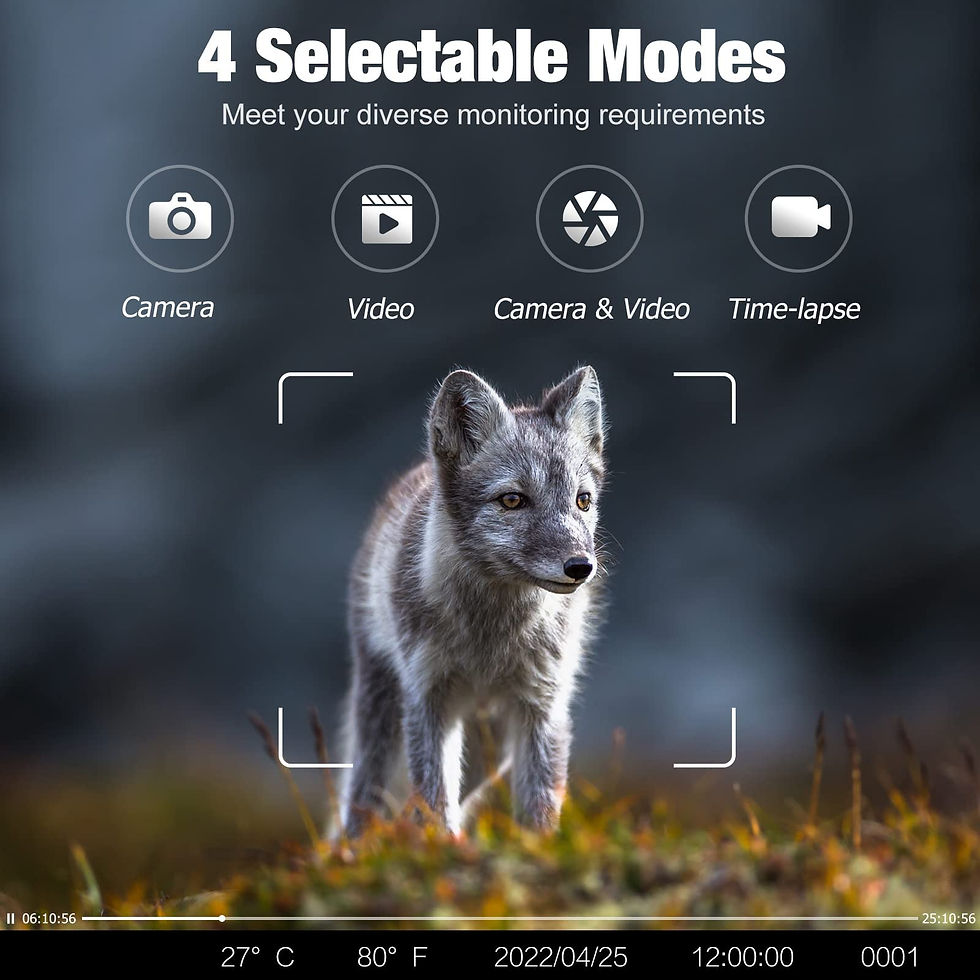 Thumbnail: 4G HD Live Video Lithium Battery Cellular Trail Camera 50MP 4K Wireless Game App