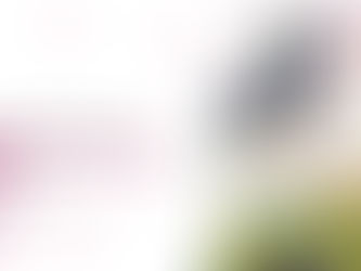 A journey into the entrepreneurial world