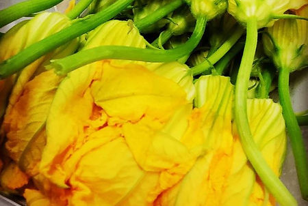GK Yellow Flowers.JPG