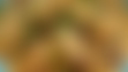 Quick and Easy Red Curry Dumpling Stir-Fry