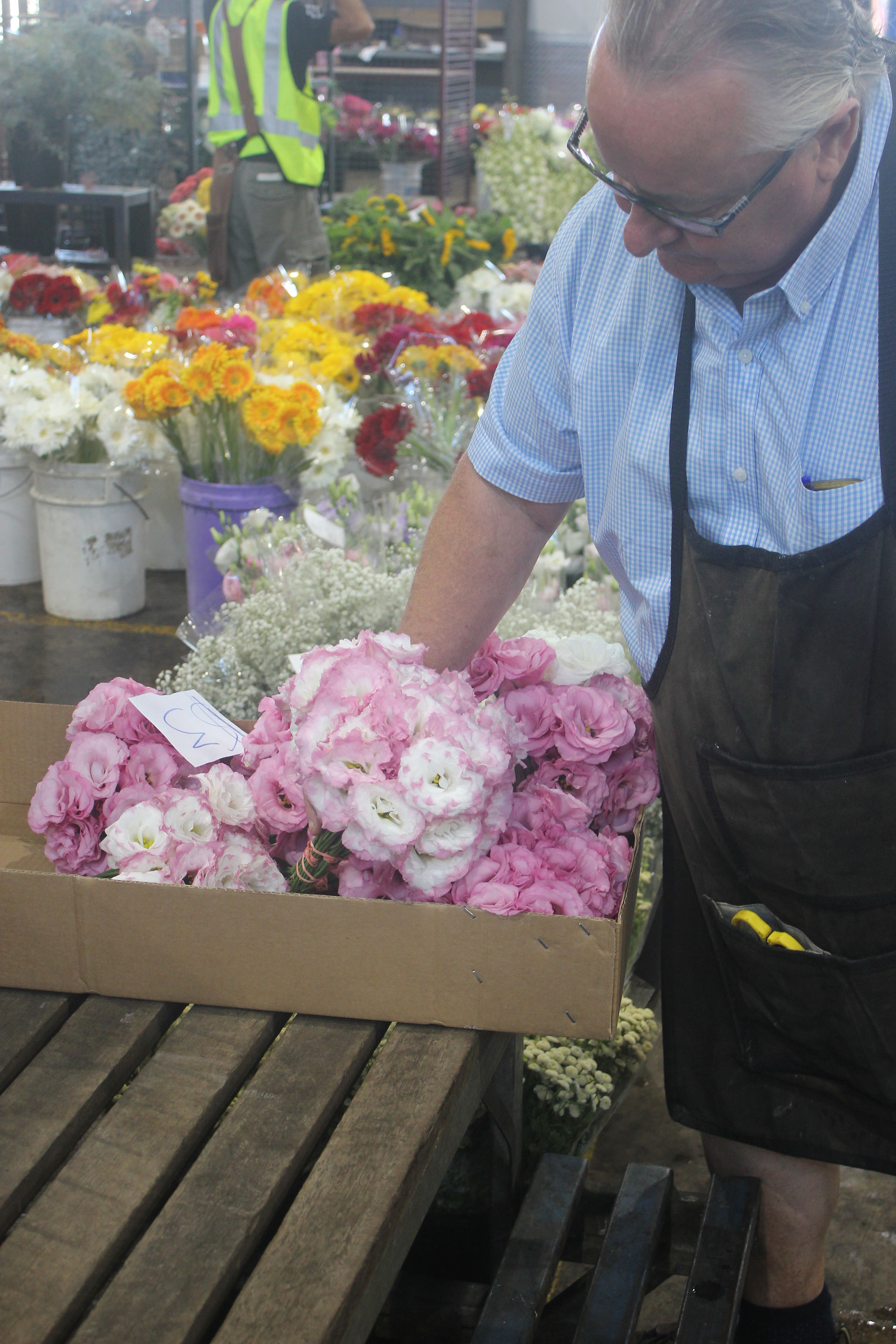 Russell picks out some pinks
