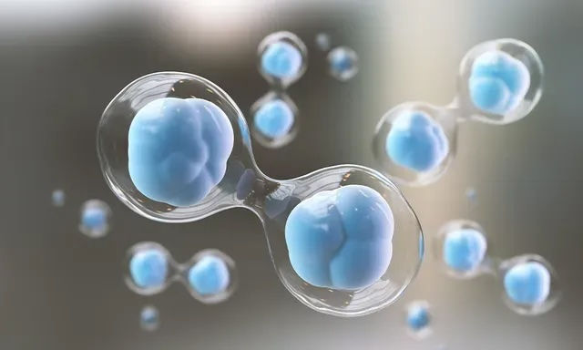 Beyond Pain Relief: Using PRP and Stem Cell Therapy for Long-Term Joint Health