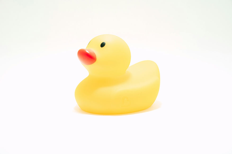 Perimenopause Duck Syndrome: Why High-Achieving Women Are Secretly Paddling for Their Lives