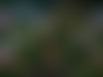 Update 46. The World Under the Earth. June 20th 2026
