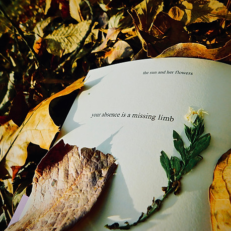 ~Quoted~