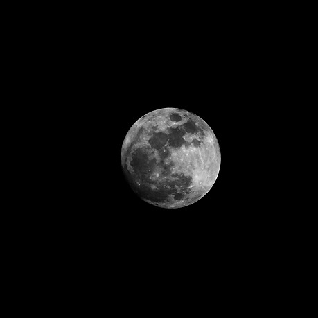 ~Black & White~