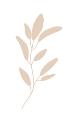 PLANTE.png