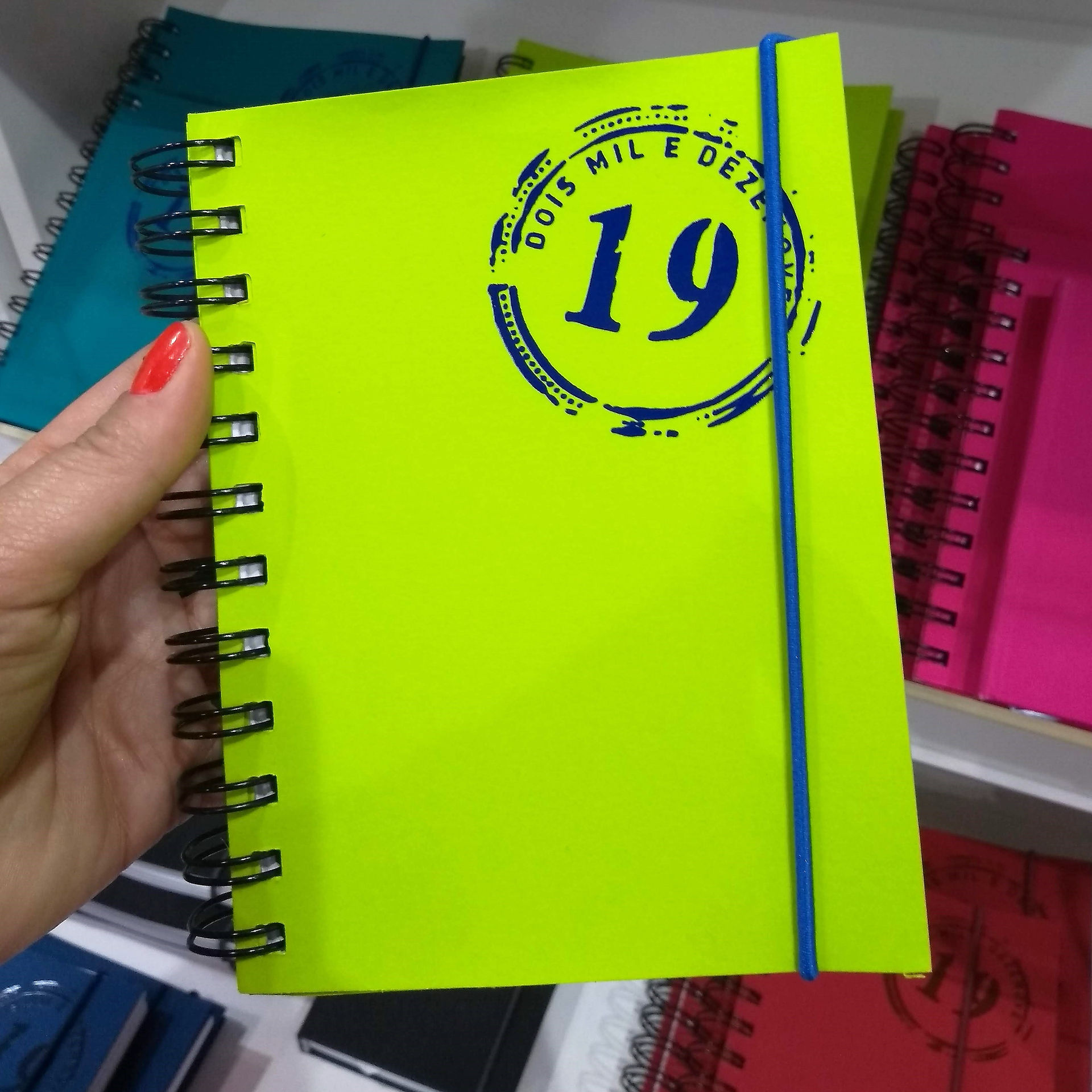 Agenda 2019 Teca Papelaria