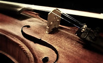 Viola