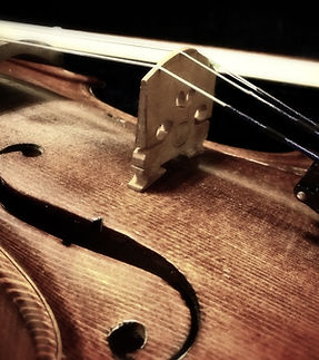 Viola