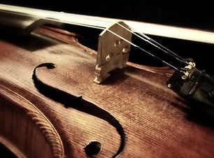 Viola