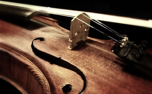 AML Strings Viola