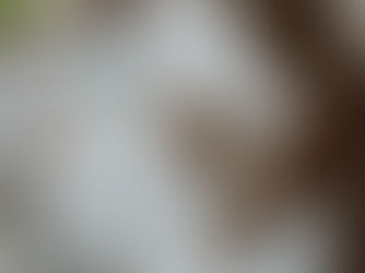 Emotional Wellness: It’s Time to Check in with Yourself!