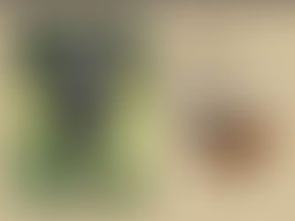 National Day of the Horse: How Riding Leads to Connection and Camaraderie