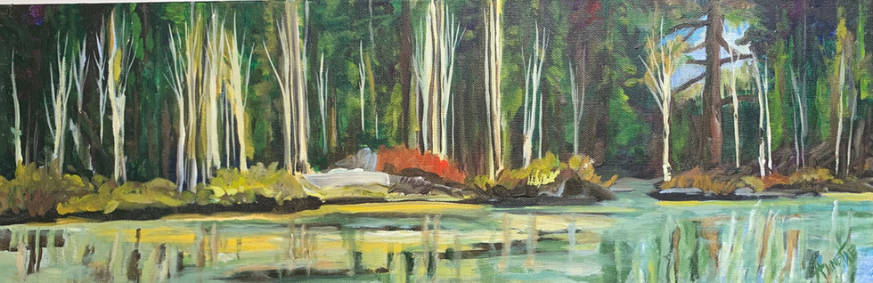 Packer Lake