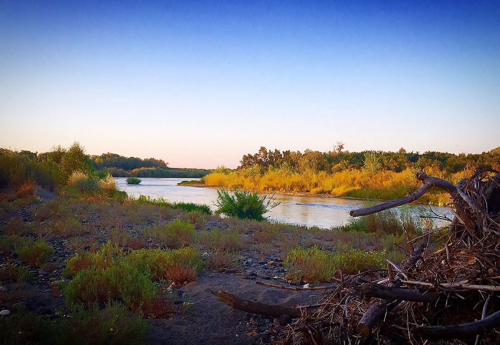 Sacramento River