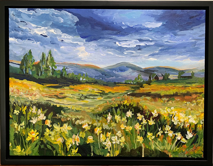 Sonoma Fields
