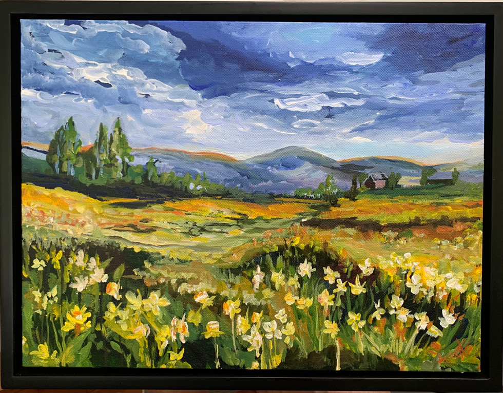 Sonoma Fields