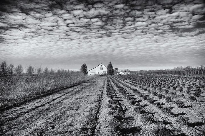 Down On The Farm