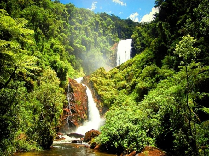 Serra da Bocaina - The Specialist