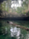 IMG_2060.jpeg