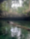 IMG_2060.jpeg